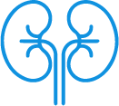 Nephrology