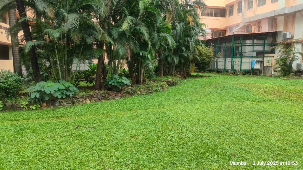 Herbal Garden & Green Zone-Holy Spirit Hospital