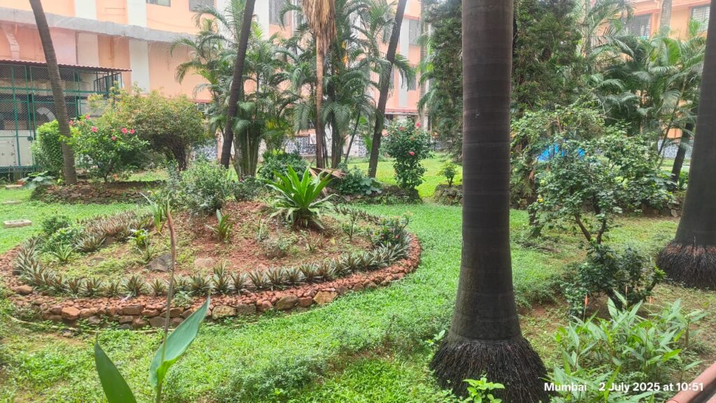 Herbal Garden & Green Zone-Holy Spirit Hospital