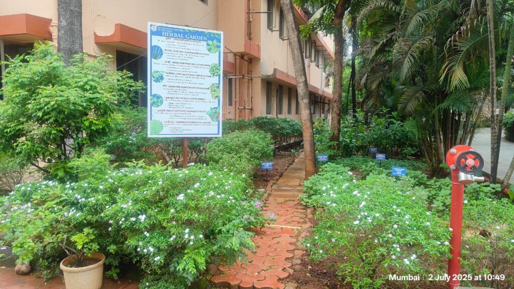 Herbal Garden-Holy Spirit Hospital
