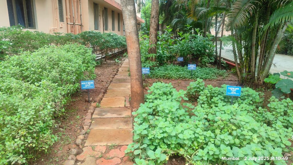 Herbal Garden-Holy Spirit Hospital