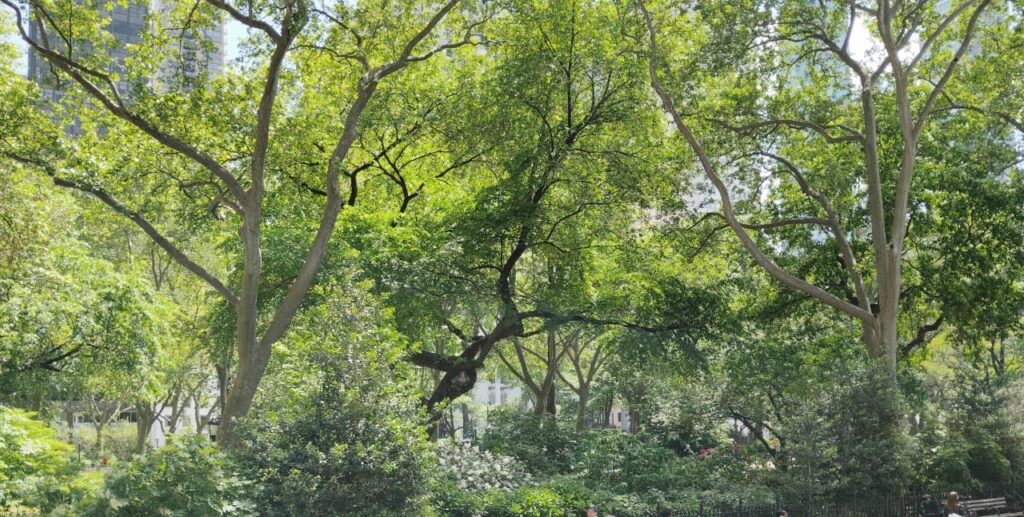 Herbal Garden & Green Zone-Holy Spirit Hospital